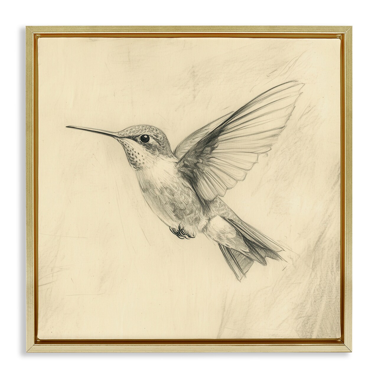 Stupell Industries Vintage Hummingbird Sketch Floating Frame, design by Petal Prints Design